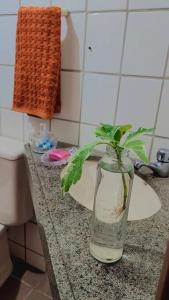 聖何塞皇冠大的住宿－Casa de Praia，相簿中的一張相片 +16 張相片