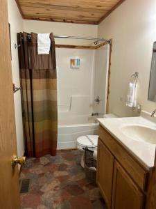 a bathroom with a shower and a toilet and a sink at Solarium Cabin #16 on Patoka Lake in Southern Indiana in Seymour