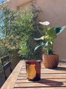 a wooden table with a plant and a cup on it at Le Mini - Un voyage en Provence in Aix-en-Provence