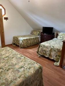 a room with three beds and a tv in it at Deluxe Cabin #17 with Jacuzzi on Patoka Lake in Southern Indiana in Paoli