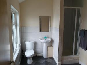 La salle de bains est pourvue de toilettes, d'un lavabo et d'une douche. dans l'établissement Brookfield Hotel, à Leeds