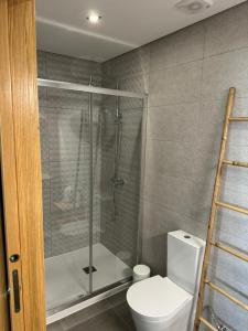 een badkamer met een toilet en een glazen douche bij CasaMaeDouro1 in Peso da Régua