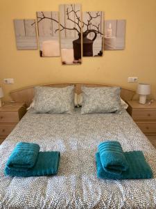 ein Schlafzimmer mit einem Bett mit zwei blauen Kissen in der Unterkunft Casa Aloe C. Las Playitas. in Las Playitas