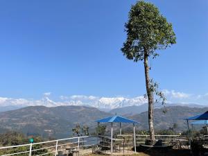 ein Baum und Sonnenschirme mit Bergen im Hintergrund in der Unterkunft Himalaya Serene View Guest House & Farm Stay in Deorāli