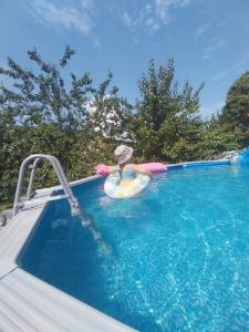 un niño en una balsa en una piscina en Lipták Vendégház en Tokaj