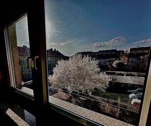 Fotografia z galérie ubytovania Apartman Pannonica Pin 0-24h v destinácii Slavonski Brod