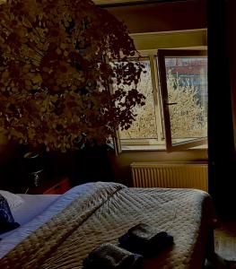 Posteľ alebo postele v izbe v ubytovaní Apartman Pannonica Pin 0-24h