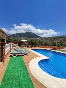 a swimming pool with a green lawn next to a house at Los Olivos in Málaga
