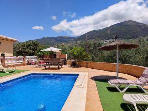 a swimming pool with two chairs and an umbrella at Los Olivos in Málaga