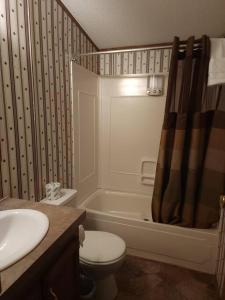 a bathroom with a sink and a toilet and a shower at Family Style Home #22 on Patoka Lake in Southern Indiana in Eckerty