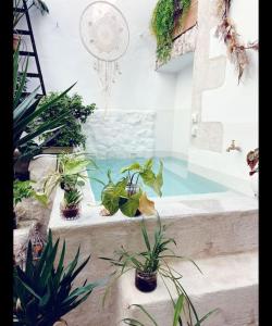 um grupo de vasos de plantas sentados em degraus ao lado de uma piscina em Chic & Bohème Proche Avignon em Vedène