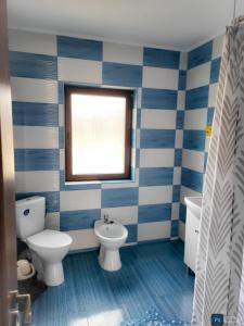 Casa Rarăului في كامبولونغ مولدوفينيسك: حمام ازرق وابيض مع مرحاض ومغسلة