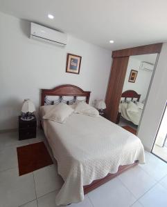 a bedroom with a large bed and a mirror at Monoambiente Vintage Las Palmas in Santa Cruz de la Sierra