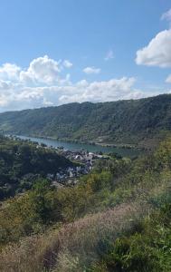 a view of a river from a hill with a town at Traumpfade in Boppard