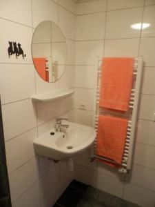 a bathroom with a sink and a mirror and towels at B&B De Hooiberg in Barneveld