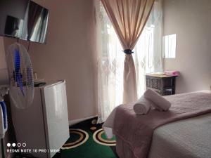a bedroom with a bed and a window with a fan at The Croc Guest house in Springs