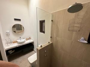 a bathroom with a sink and a toilet and a mirror at Loft Edoardo en Val'Quirico in Santeagueda