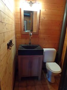 サン・ジェルヴェ・レ・バンにあるLe Petit Paddockの洗面台とトイレ付きのバスルーム