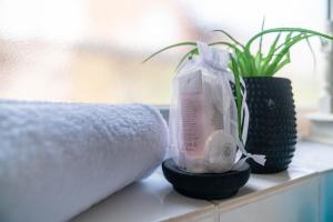 a bathroom counter with a roll of toilet paper and a plant at Liverpool City Haven-Dane Street in Liverpool