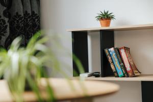 a book shelf with books and a surfboard on it at Cozy Seaside Studio Apartment C - Faraway in Lagoa
