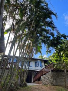 a house with palm trees in front of it at Pousada Maikai Garden in Porto Belo
