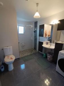 a bathroom with a toilet and a sink and a shower at Villa T4, 95m² entre Montpellier et Pic Saint Loup in Prades-le-Lez