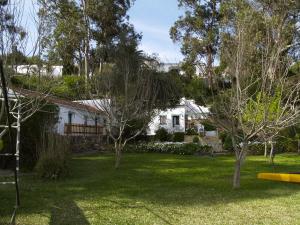 una casa con un patio con árboles y un frisbee amarillo en Moinho Da Asneira - Duna Parque Group, en Vila Nova de Milfontes