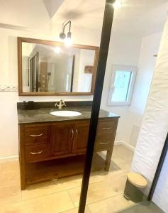 uma casa de banho com um lavatório e um espelho em maison avec spa et salle de projection em Cournonterral