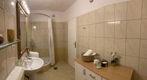 Bilik mandi di Isolated apartments with a swimming pool Cove Tvrdni Dolac, Hvar - 6112 +17 gambar