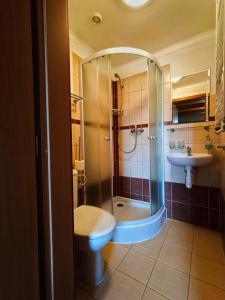 uma casa de banho com um chuveiro, um WC e um lavatório. em Penzion Nové dvory em Kutná Hora