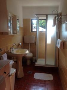 La salle de bains est pourvue de toilettes, d'un lavabo et d'une douche. dans l'établissement Apartments by the sea Basina, Hvar - 4620, à Basina