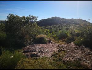 Fotografie z fotogalerie ubytování Alma Mía v destinaci Villa Serrana