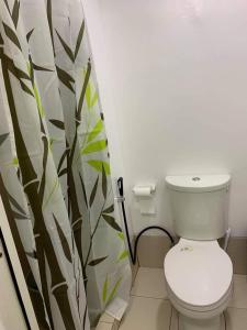 a bathroom with a toilet and a shower curtain at BRENT CONDO UNIT WITH FREE PARKING & NETFLIX in Tagaytay