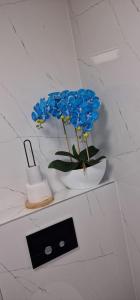 eine weiße Vase mit blauen Blumen auf der Theke in der Unterkunft Angel in Kołobrzeg