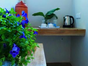 una estantería de madera con flores azules sobre una mesa en Pretty Villa, en Gelioya