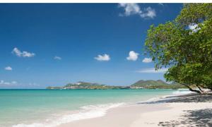 a view of a beach with trees and the ocean at Sk SHaven #2 in Castries