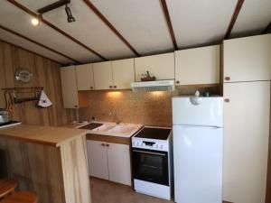 Cuisine ou kitchenette dans l'établissement Gîte Arpajon-sur-Cère, 3 pièces, 4 personnes - FR-1-742-21