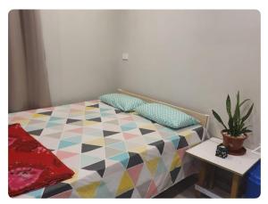 a bedroom with a colorful bed with a plant on it at Seaside Homes in Nadi