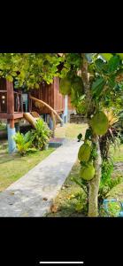 a walking path in a park with a tree at Nadia Resort Kohjum in Ko Jum