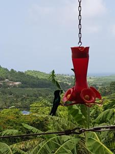 Phong cảnh thiên nhiên gần căn hộ