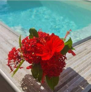 eine rote Blume auf einem Tisch neben einem Pool in der Unterkunft Pitaya Lodge by Lodge Paradise in Sainte-Luce