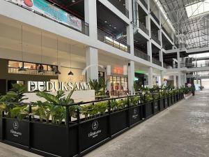 Un centro commerciale con un mucchio di piante in mostra di Kuching The Podium @ 4 Pax a Kuching