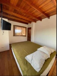 ein Schlafzimmer mit einem großen grünen Bett und einem TV in der Unterkunft Casa tramonto in Los Órganos