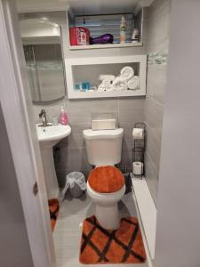 a small bathroom with a toilet and a sink at The Subterranean Haven in Mount Vernon