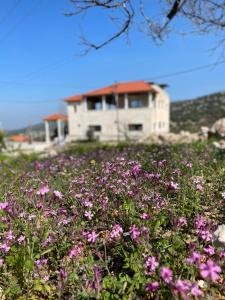 un campo di fiori di fronte a una casa di furnished apartments for rent a Irbid