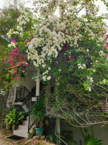 a building with pink and white flowers on it at Flower Shade Villa in Weligama