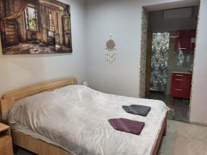 1 dormitorio con 1 cama y una pintura en la pared en Privát Szálláshelyek, en Baja