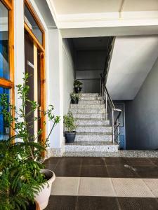 達旺鎮的住宿－Hotel Kimnas，一套栽有盆栽植物的楼梯