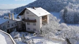 Landhaus Waldfrieden v zime
