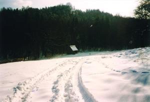 Landhaus Waldfrieden v zime